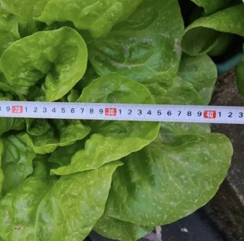 Prírodný stimulátor úrodnosti pôdy HUMAC® Agro použitie2